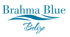 Brahma Blue Logo
